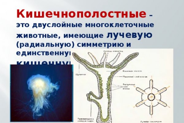 Ссылка на блекспрут blacksprute com