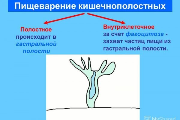 Блэкспрут сайт даркнет ссылка