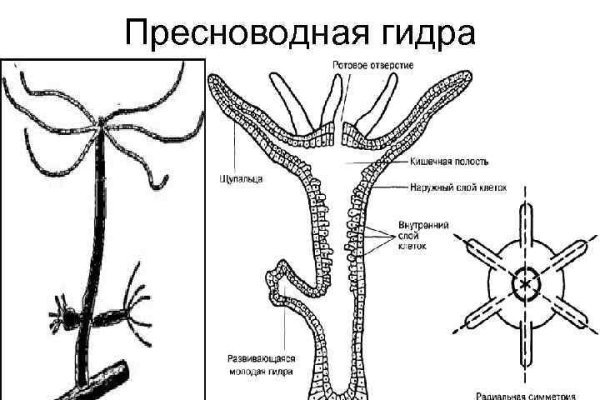 Блэкспрут 2fa